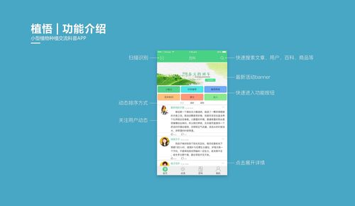小科科APP
