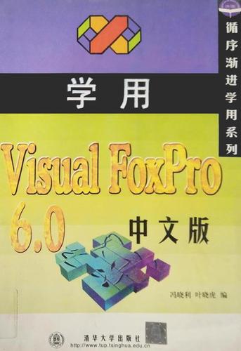 foxpro6.0