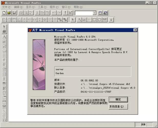 vfp6.0官方下载安装截图