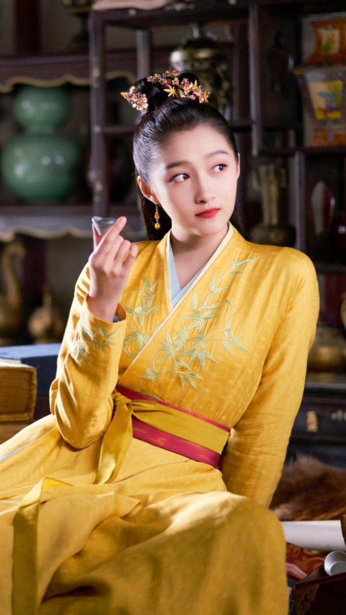 班婳是什么电视剧