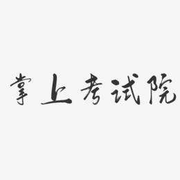 掌上考试院