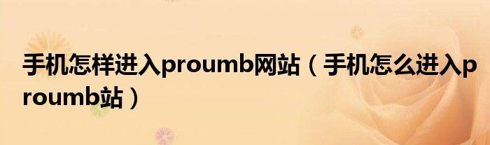 手机网站d0