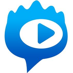 新浪视频播放器下载