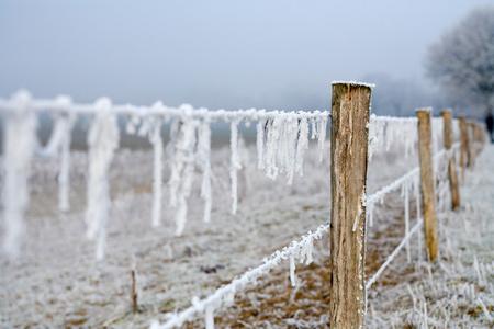 冰雪网战歌
