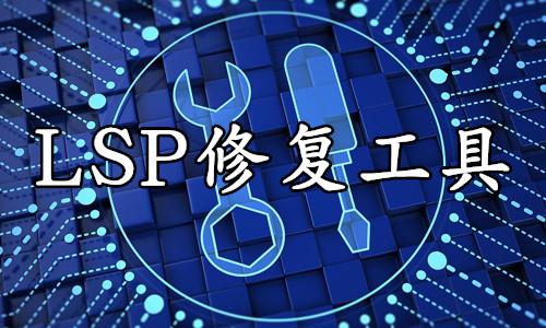 "修复网络lsp