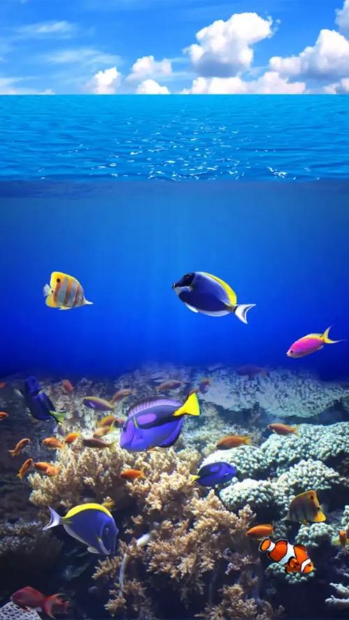 海底世界屏保