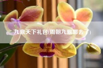 九鼎天下小说