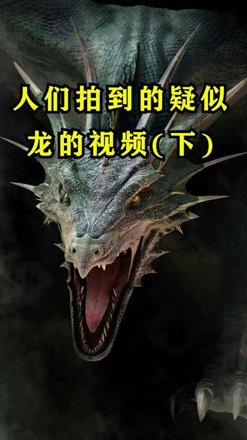 龙物视频官网413.1大厅最新官方版有啥活动.cc