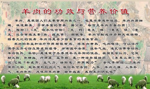 蚂蚁森林无限保护罩
