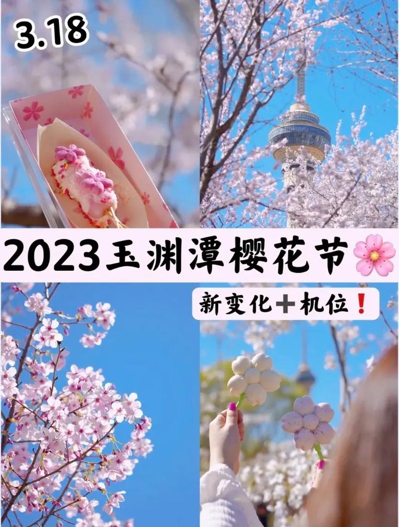 樱花官方正版官网入口2023