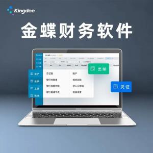 财务软件U盘版