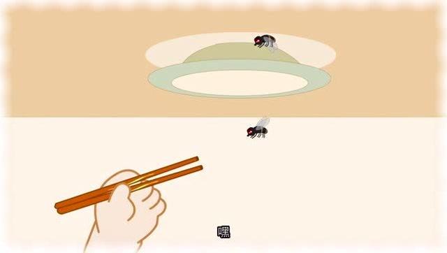 筷子夹苍蝇是什么电影