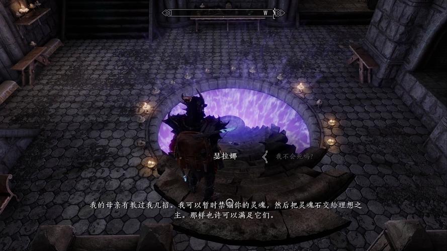 上古卷轴5天际黎明守卫