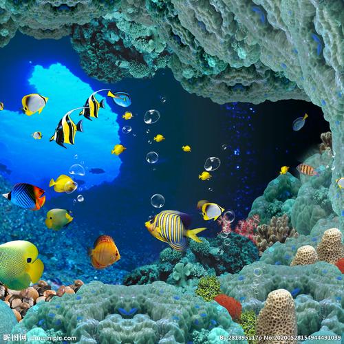 海底世界3d电影