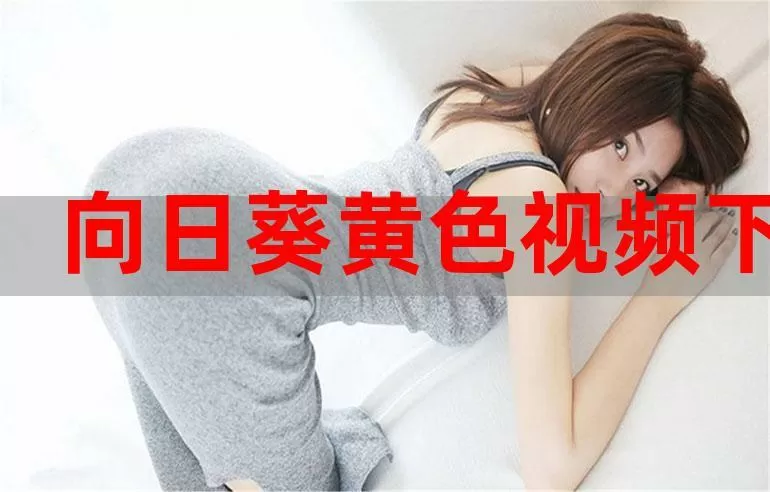 向日葵远程控制app官网下载