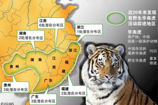 手机老虎地图