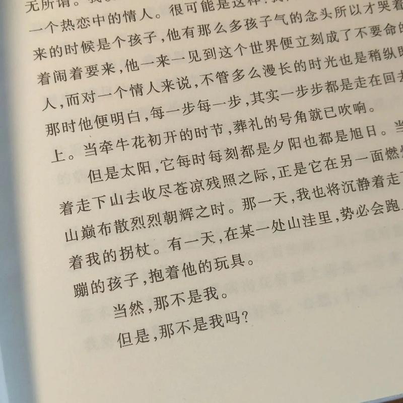 看看文学小说