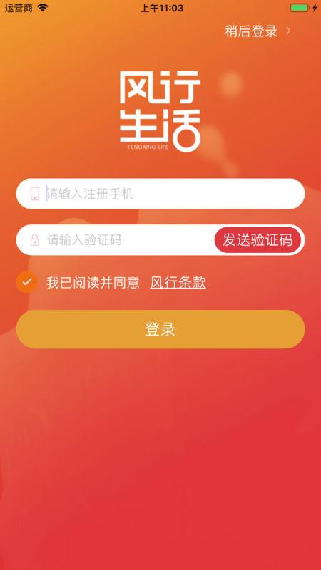 下载风行网站