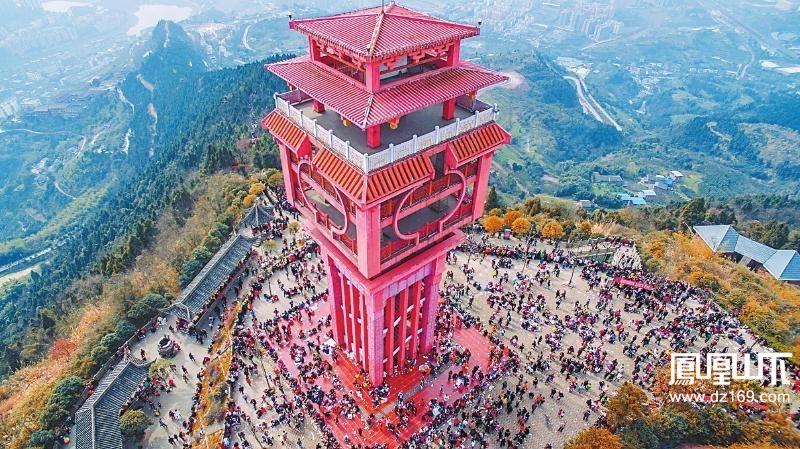 凤凰山下论坛
