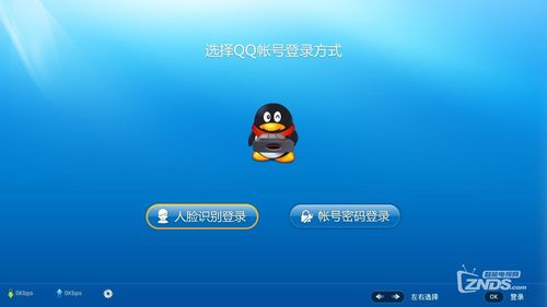 qq网络电视剧