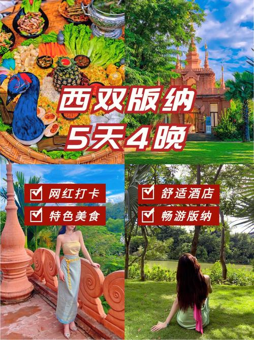 疯狂旅游团背景图