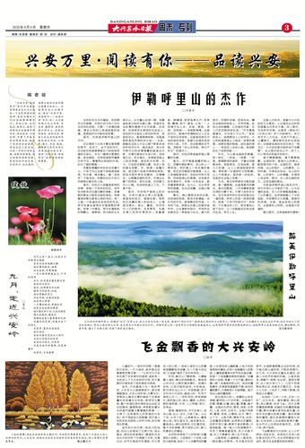 大兴安岭日报电子版