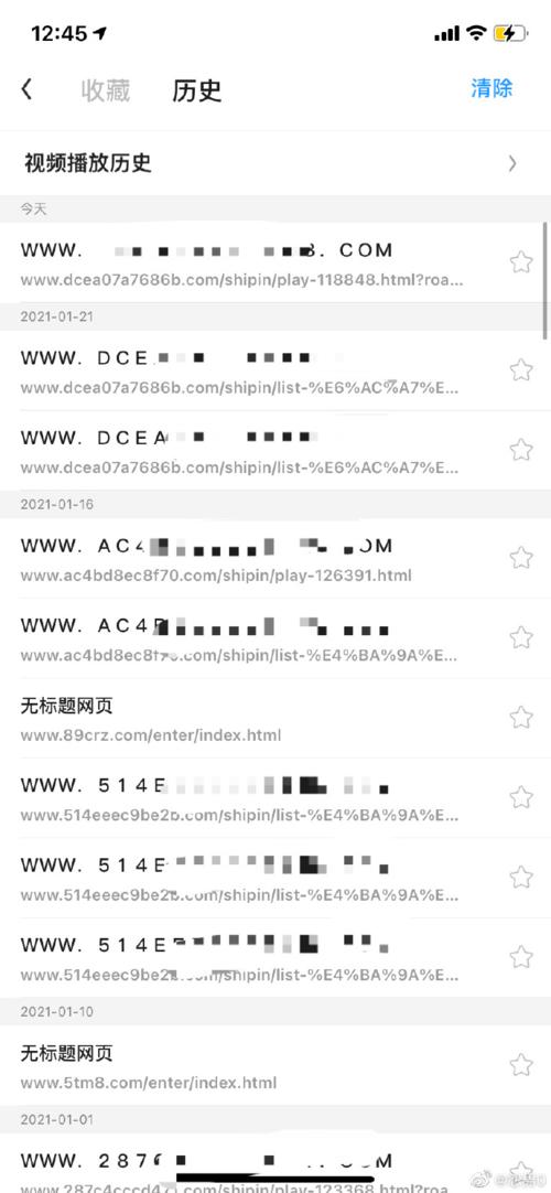 私密浏览器看片大全免费视频下载
