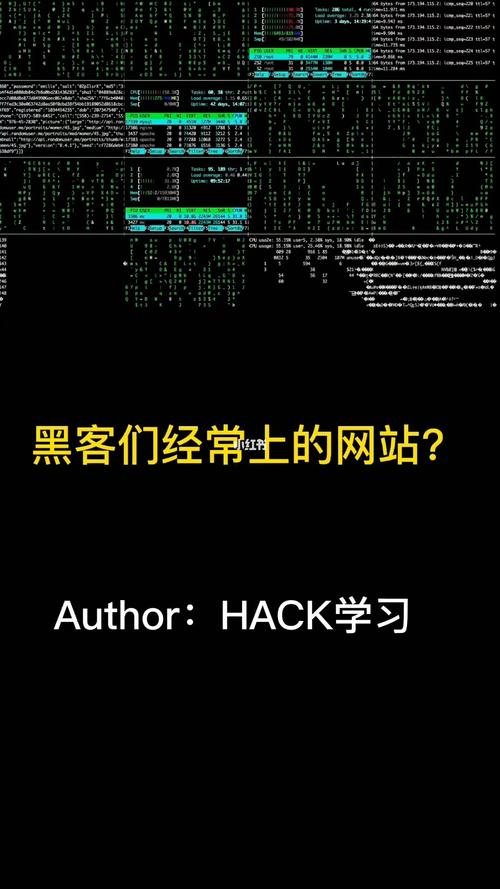 黑客软件网址