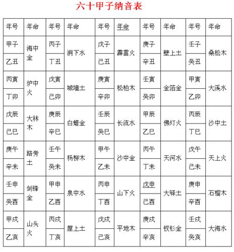 南方八字排盘软件手机版