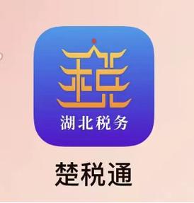 湖北税务(楚税通)