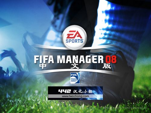 fifa09中文版下载