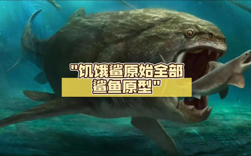 饥饿鲨 修改版