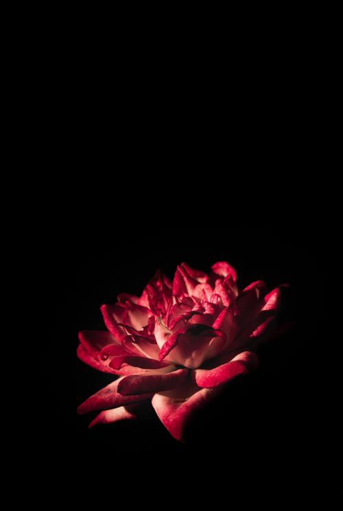 redsnow