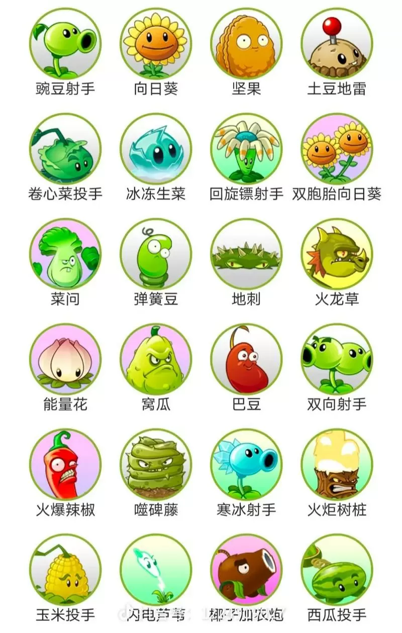 植物大战僵尸2玩法介绍