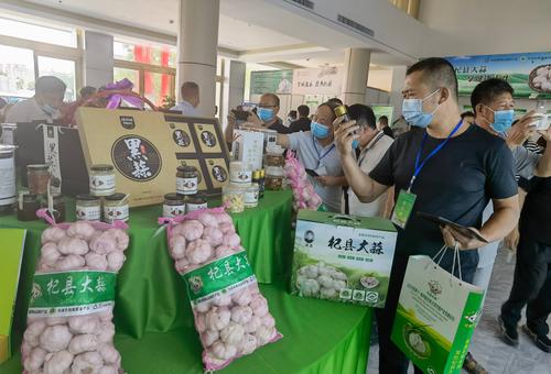 大蒜论坛国际大蒜贸易网