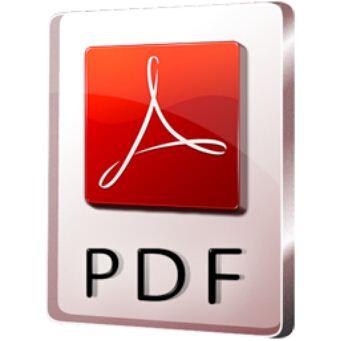 pdf2word