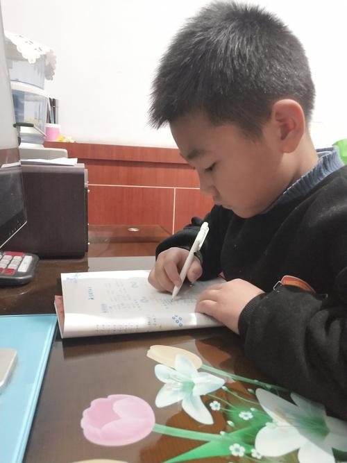 我要写作业了用英语怎么说