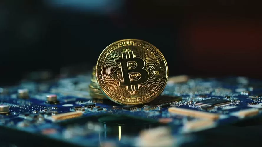 btcwinex官网