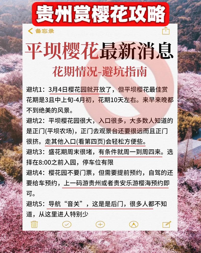 樱花官方正版官网入口2023