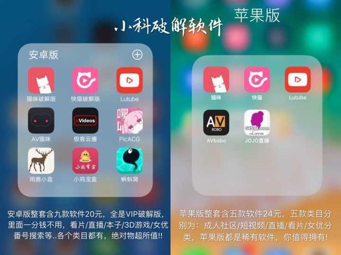 什么软件可以看看
