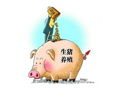 养猪小农民真的赚钱吗