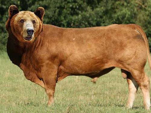 百灵百人牛牛官网717.4最新版游大厅现在还能玩吗.cc