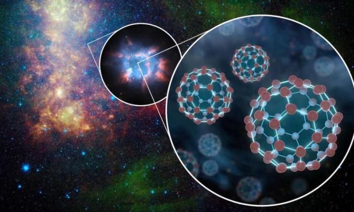 碳汇宇宙骗局