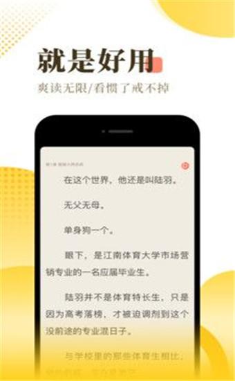 肥猫小说