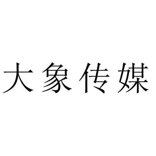 大象传媒2024年隐藏人口