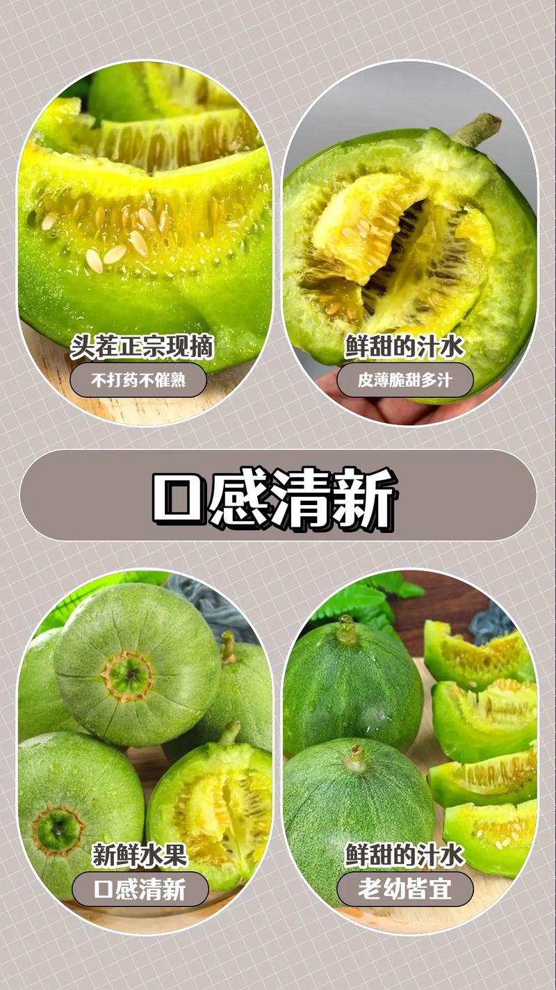 甜瓜多多v1.0