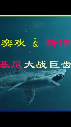 鲨鱼短视频手机版