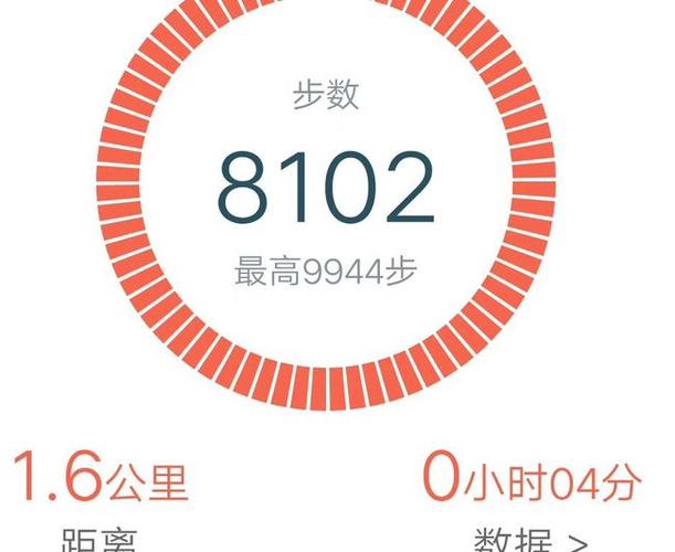 欢乐步数极速版