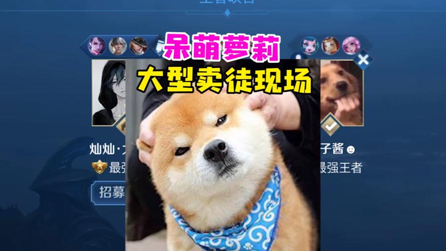 狗子助手王者荣耀
