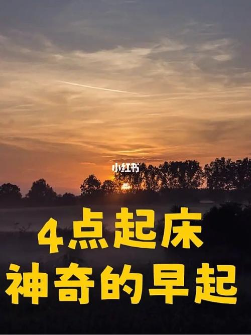爱上早起的感觉